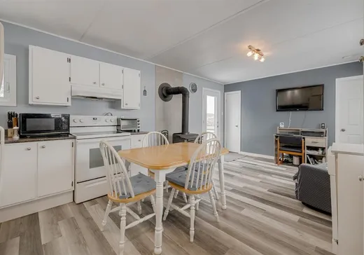 Loft à vendre - 931 Rue St-Jacques, Ste-Thecle, G0X 3G0