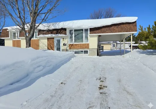 Two or more stories for sale - 51 Rue Crépeault, Amos, J9T3L8