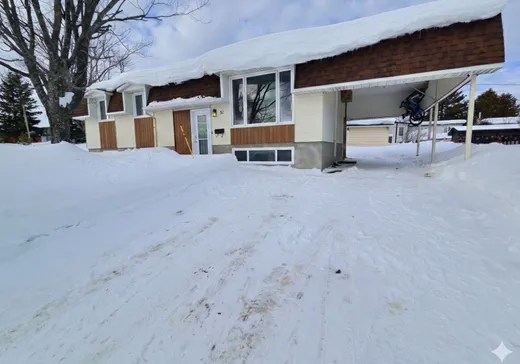 House for sale - 51 Rue Crépeault, Amos, J9T 3L8