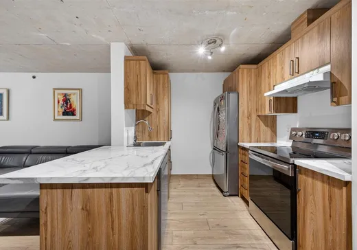 Condo for sale - 1451 Rue Parthenais, App. 019, Montreal (Downtown), H2K 0A2