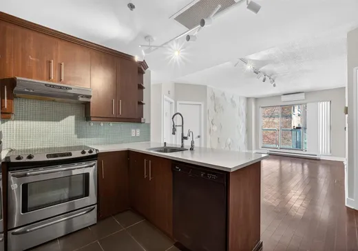 Condo à vendre - 1455 Rue Towers, App. 109, Montréal (Centreville), H3H 2E2