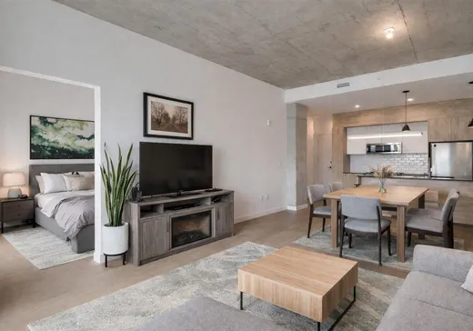 Condo à vendre - 3155 Av. Parkville, App. 520, Montréal (Mercier/Hochelaga-Maisonneuve), H1N0E7
