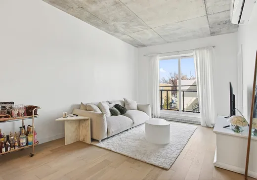 Condo à vendre - 3155 Av. Parkville, Montréal (Mercier/Hochelaga-Maisonneuve), H1N0E7