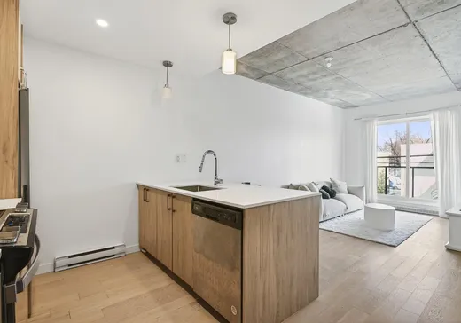 Condo à vendre - 3155 Av. Parkville, Montréal (Mercier/Hochelaga-Maisonneuve), H1N 0E7