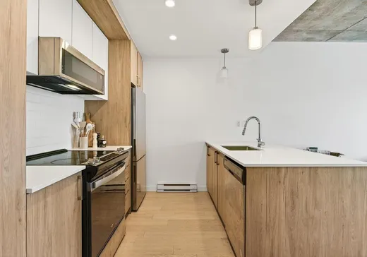 Condo à vendre - 3155 Av. Parkville, Montréal (Mercier/Hochelaga-Maisonneuve), H1N 0E7