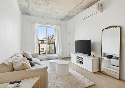 Condo à vendre - 3155 Av. Parkville, Montréal (Mercier/Hochelaga-Maisonneuve), H1N 0E7
