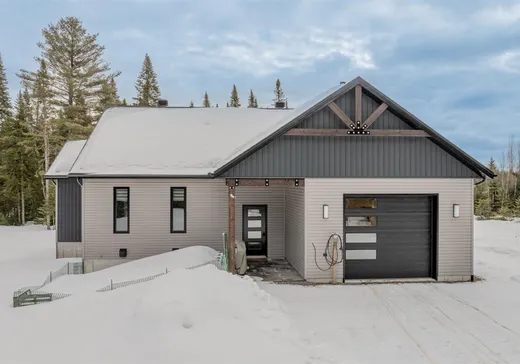 Maison à vendre - 245 1re rue du Domaine-Alouette, Sainte-Christine-d'Auvergne, G0A 1A0