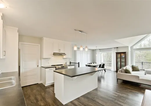 Maison à vendre - 462 Ch. Louis-Cayer, Sherbrooke, J1R 0H7