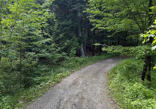 Maison à vendre - 16516 Ch. du Lac-Labelle, Mont-Tremblant, J0T 1H0