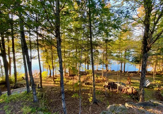 Maison à vendre - 501 Ch. des Bûcherons, Orford, J1X 6L2