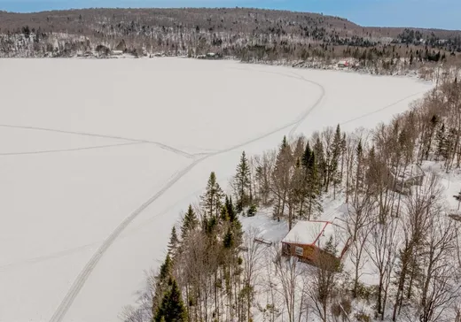 Maison à vendre - 230 Rue Carpentier, Notre-Dame-de-Montauban, G0X 1W0