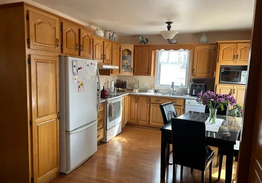 House for sale - 202 Rue Water, Danville, J0A 1A0