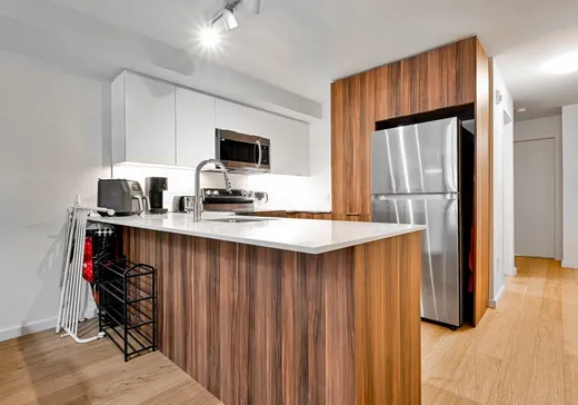 Condo à vendre - 3620 Rue Ste-Catherine E., Montréal (Mercier/Hochelaga-Maisonneuve), H1W 0C1