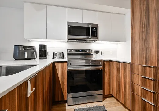 Condo à vendre - 3620 Rue Ste-Catherine E., Montréal (Mercier/Hochelaga-Maisonneuve), H1W 0C1