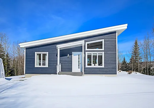 Maison à vendre - 8 Ch. des Lys , Lac-Etchemin, G0R 1S0