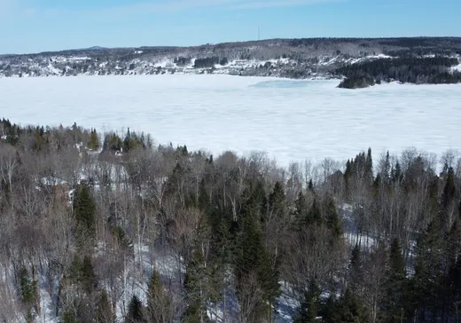 Maison à vendre - 8 Ch. des Lys , Lac-Etchemin, G0R 1S0