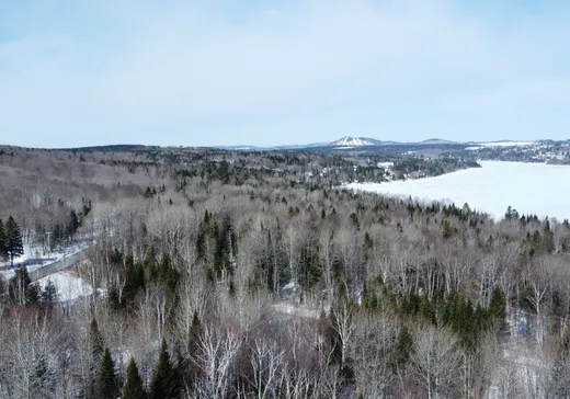 Maison à vendre - 8 Ch. des Lys , Lac-Etchemin, G0R 1S0