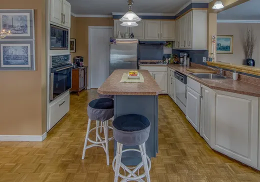 House for sale - 225 Rue de la Gare, Daveluyville, G0Z 1C0