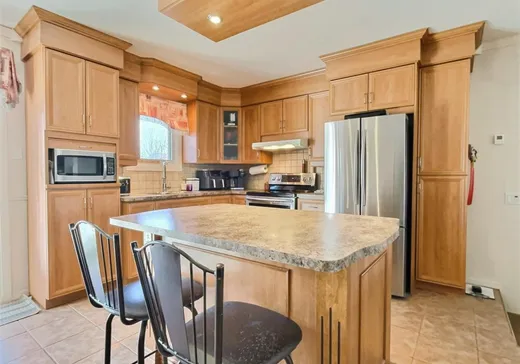 Maison à vendre - 1770 Av. du Collège, Plessisville, G6L 2A2