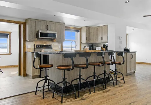 Maison à vendre - 1098 Ch. Tour-du-Lac-des-Îles, Mont-Laurier, J9L 3G7