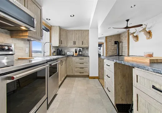 Maison à vendre - 1098 Ch. Tour-du-Lac-des-Îles, Mont-Laurier, J9L 3G7