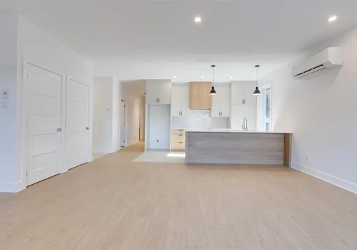 Condo à vendre - 11377 Av. L'Archevêque, Montréal (Nord), H1H 3B1
