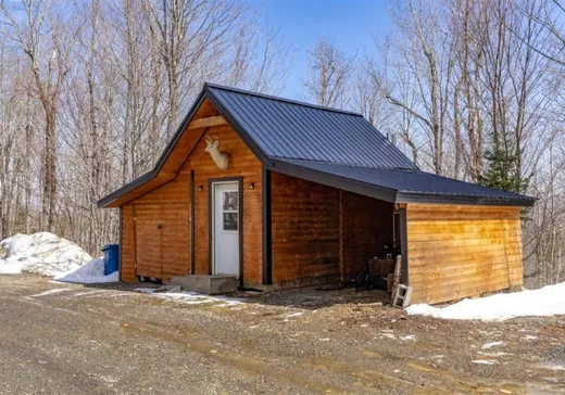 Maison à vendre - 166 Ch. Jeannot, Notre-Dame-Des-Boies, J0B 2E0