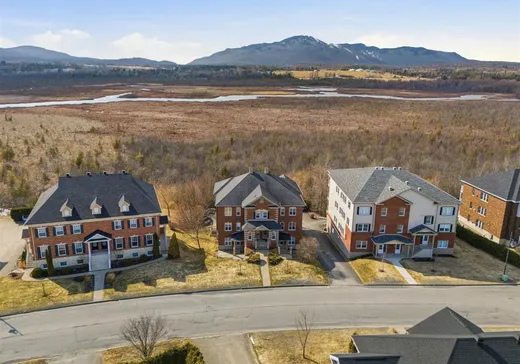 Condo à vendre - 975 Rue du Moulin, Magog, J1X 7K5