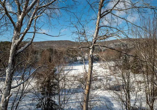 Condo à vendre - 450 Allée des Cimes 7, Mont-Tremblant, J8E 0B3