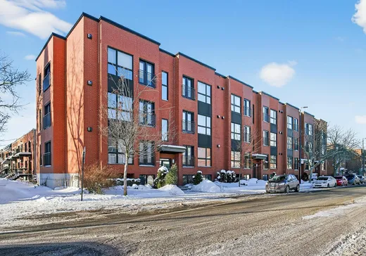 Condo à vendre - 3925 Av. du Mont-Royal E., Montréal (Plateau-Mont-Royal), H1X1Y2