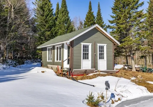 Maison à vendre - 47 Ch. Jacques, Notre-Dame-Des-Boies, J0B 2E0