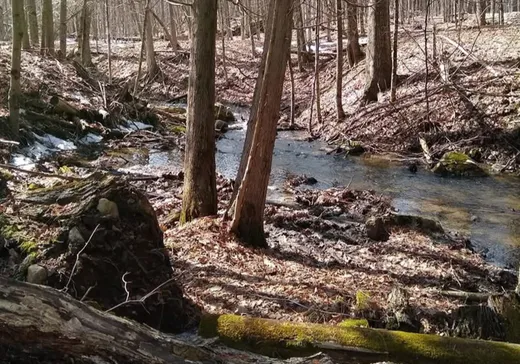 Maison à vendre - 272 Rue Marc-Aurèle-Fortin, Lachute, J8H 3W7