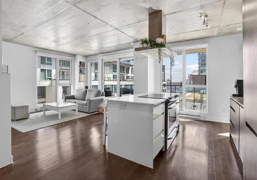 Condo à vendre - 235 Rue Peel, App. 418, Montréal (Centreville), H3C2G6