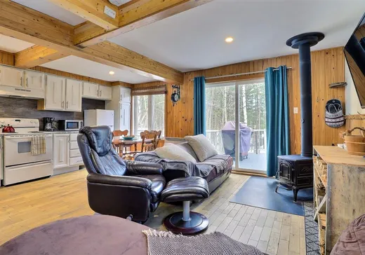 Maison à vendre - 105 Ch. de l'Ours, Notre-Dame-Des-Boies, J0B 2E0