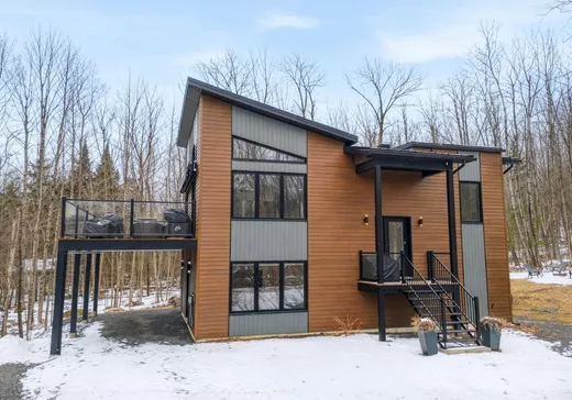 Maison à étages à vendre - 5 Ch. des Faisans, Mansonville, J0E1X0