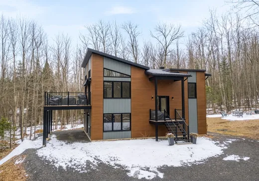 Maison à vendre - 5 Ch. des Faisans, Mansonville, J0E 1X0