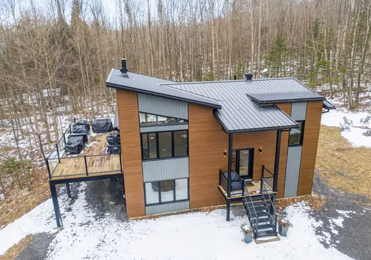 Maison à vendre - 5 Ch. des Faisans, Mansonville, J0E 1X0