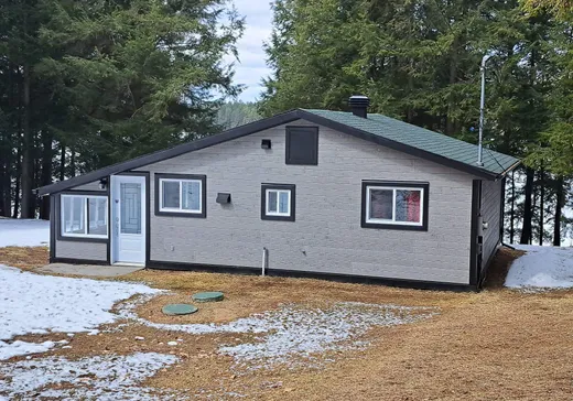 Maison à vendre - 308 Ch. Léonard, Lac-du-Cerf, J0W 1S1