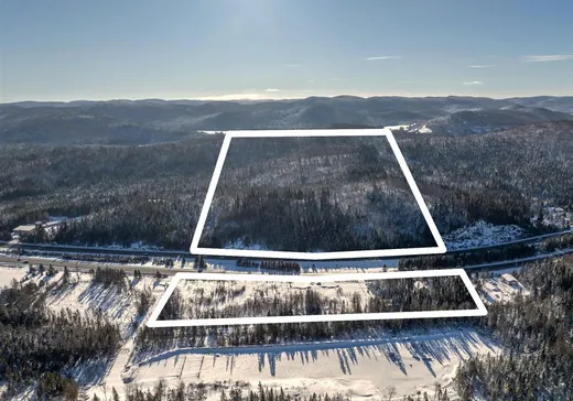 Bungalow for sale - 100 Route 117, Sainte-Agathe-des-Monts, J8C2Z8