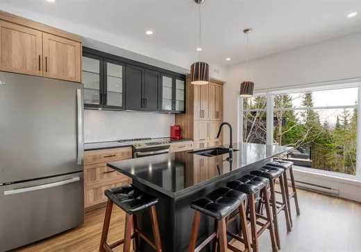 Maison à vendre - 12 Ch. du Versant, App. 2, Thetford Mines, G0N 1S0