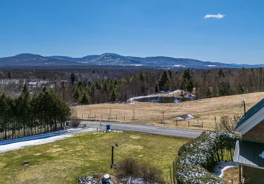 Maison à vendre - 259 Ch. Draper, Sutton, J0E 2K0