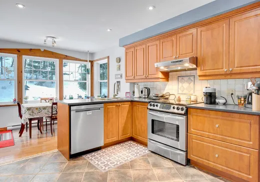 Maison à vendre - 20 Ch. des Couleurs, Saint-Sauveur, J0R 1R2