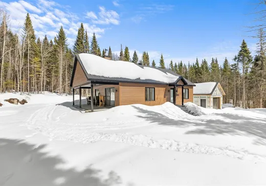 Bungalow à vendre - 350 Rg St-Ignace, Château-Richer, G0A1N0