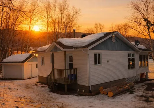 Maison à vendre - 232 Ch. de l'Amitié, St-Mathieu-Du-Parc, G0X 1N0