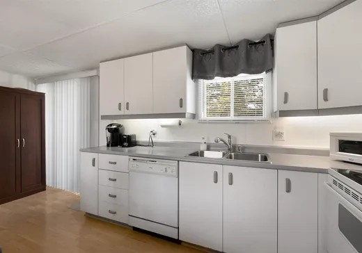 Loft for sale - 2554 Rue des Lilas, Rock Forest-Saint-Élie-Deauville, J1R 0G9