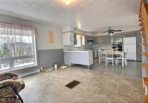 House for sale - 542 Rue de l'Église, Pohénégamook, G0L 1J0