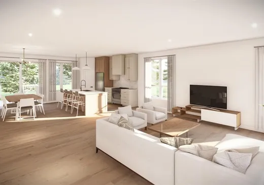 Maison à vendre - 836 Rue Montcalm, Massueville, J0G 1K0