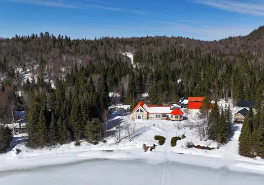House for sale - 60 Ch. Baie-William O., Lac-Edouard, G0X 3N0