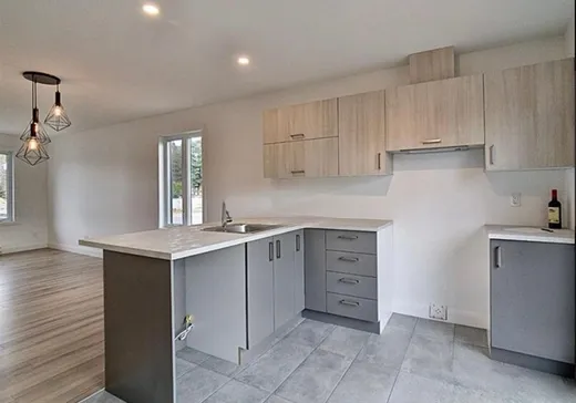 Maison à vendre - 1384 Av. Cantin, Donnacona, G3M 0K3