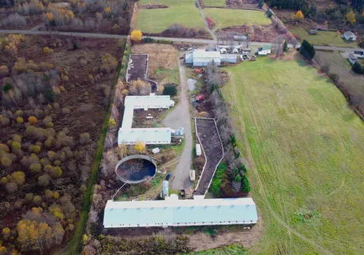 Fermette à vendre - 641Z 3e Rang, Saint-Nérée-de-Bellechasse, G0R 3V0